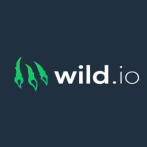 Wild.io Casino Review 2024