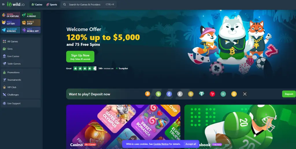 Wild.io supports both casino and sports betting options for its members, giving you the best of both worlds.